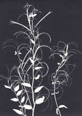 Black and White Willowherb Print A5 Postcard
